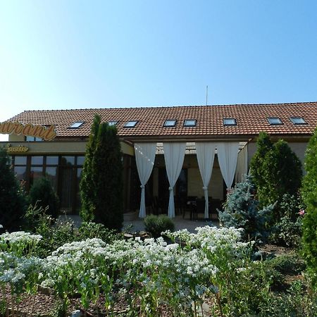 Anette Resort & Spa Covaci Экстерьер фото