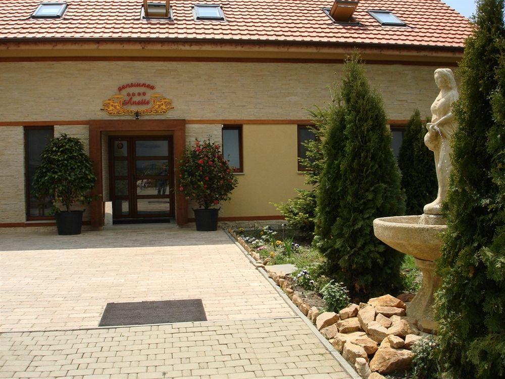 Anette Resort & Spa Covaci Экстерьер фото
